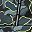 Pop Camo Gray