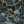 Pop Camo Grayvvvvvvvvv