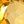 Genuine Citrine