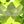 Genuine Peridot