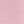 Cherry Cashmere Rose