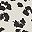 Cheetah Putty