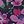 Navy Floral