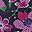 Navy Floral