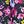Navy Floral