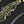 Black Gold