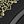 Black With Gold
