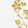 White With Gold