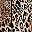 Leopard Print