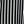 Black Stripe