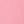 Pink Rose