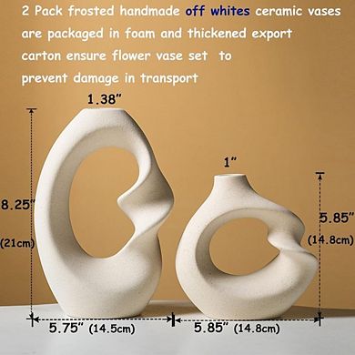 Ceramic Vase Set of 2, Modern White Decorative Flower Vases for Home