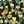 Yellow Green