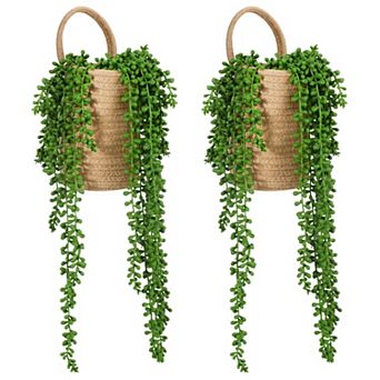 Rope Basket With Pearls Succulents Home Decor