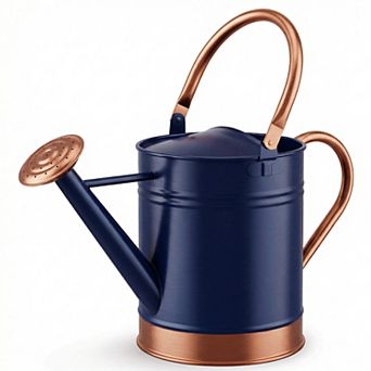 1-Gallon Steel Watering Can with Spout and Removable Sprinkler Head Ideal for Indoors & Outdoors