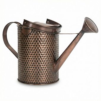 1-Gallon Steel Watering Can with Spout and Removable Sprinkler Head Ideal for Indoors & Outdoors