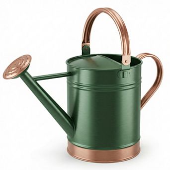 1-Gallon Steel Watering Can with Spout and Removable Sprinkler Head Ideal for Indoors & Outdoors