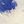 Blue White