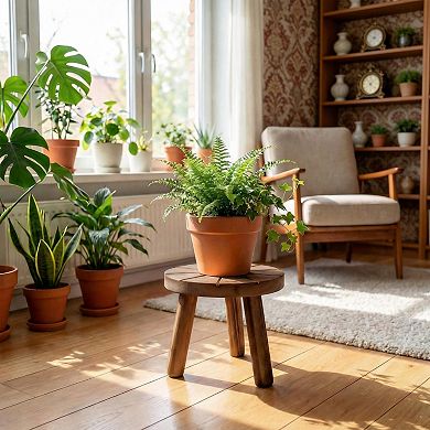 Wooden Mid-Century Modern Tall Plant Stand