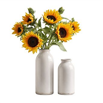 Ceramic Vase Set of 2 Decorative Vases for Flowers, Rustic Farmhouse