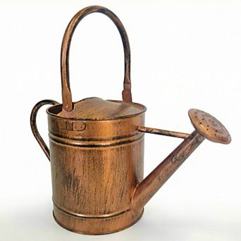 1-Gallon Steel Watering Can with Spout and Removable Sprinkler Head Ideal for Indoors & Outdoors