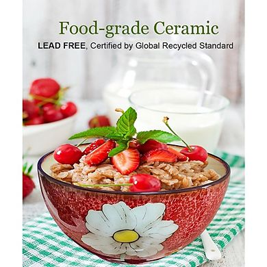 Ceramic Cereal & Soup Bowls Set of 4 Dishwasher, Oven & Microwave Safe