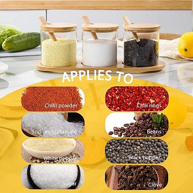 Condiment Containers with lids 3 pack Seasoning Box Condiment Pots Jars with Spoons Container