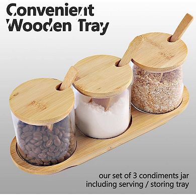 Condiment Containers with lids 3 pack Seasoning Box Condiment Pots Jars with Spoons Container
