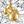 10k Gold
