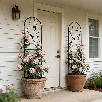 Loheer 2 Pack Metal Garden Trellis for Climbing Plants with Dragonfly Decor