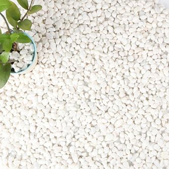 18lbs Bulk Bag White Pebbles 1/2" Size Aquarium Gravel Outdoor Garden Paving Plant Decorative Stones