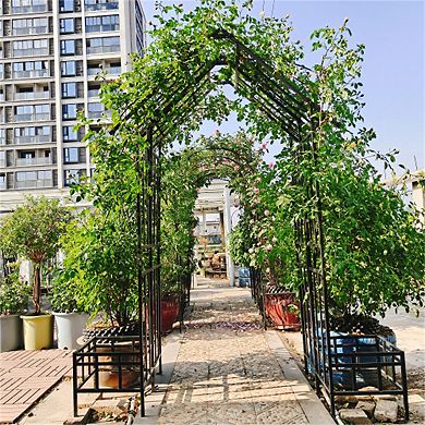 Loheer Adjustable Metal Garden Arch for Climbing Plants Outdoor Rose Arbor Black