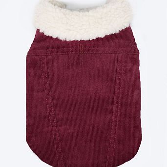 Modern Classic Coat