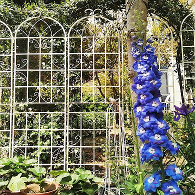 Loheer 4 Pack Metal Garden Trellis for Climbing Plants Outdoor Flower Support