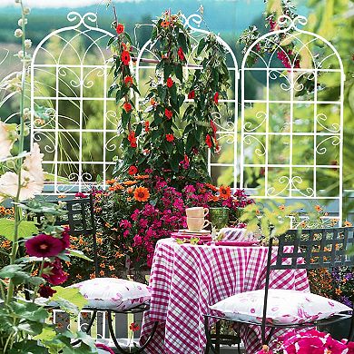 Loheer 4 Pack Metal Garden Trellis for Climbing Plants Outdoor Flower Support