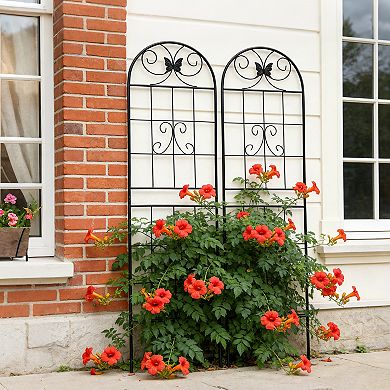 Loheer 2 Pack Metal Garden Trellis for Climbing Plants Outdoor Rustproof Flower Support