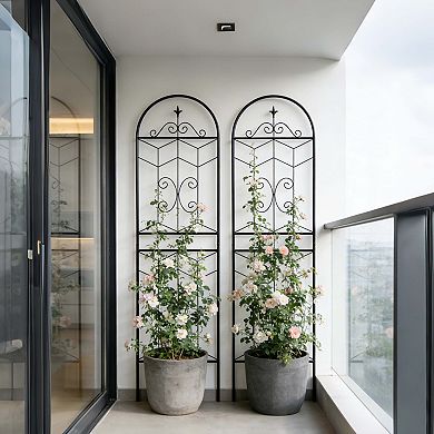 Loheer 2 Pack Metal Garden Trellis for Climbing Plants Outdoor Flower Support