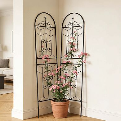 Loheer 2 Pack Metal Garden Trellis for Climbing Plants Outdoor Flower Support