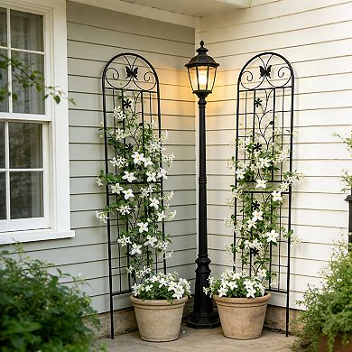 Loheer 2 Pack Metal Garden Trellis for Climbing Plants Outdoor Flower Support
