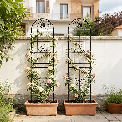 Loheer 2 Pack Metal Garden Trellis for Climbing Plants, Rustproof Outdoor Flower Support