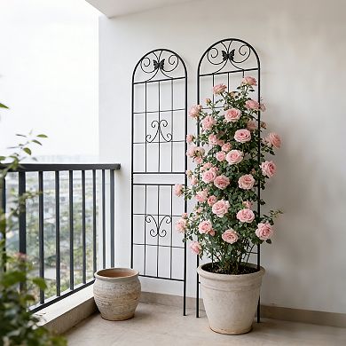 Loheer 2 Pack Metal Garden Trellis for Climbing Plants, Rustproof Outdoor Flower Support