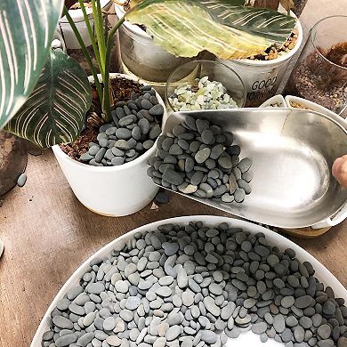 18lb Black River Pebbles Decorative Stone for Plants, Aquariums and Garden Landscaping