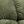 Linen Green