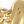 14k Gold
