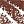 Costa Niche