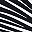 Black White
