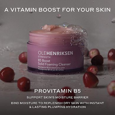 B5 Boost Hydrating Solid Foaming Gentle Cleanser