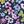 Navy Floral