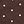 Brown Dots