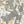 Foliage Beige